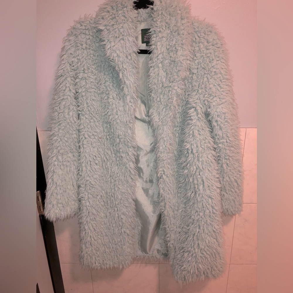 Green Faux Fur Coat | wild fable